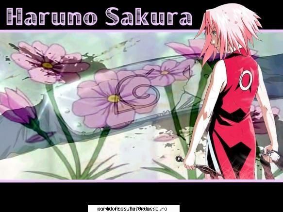 Poze - Ambra - Sakura Haruno