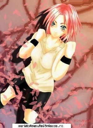 Poze - Ambra - Sakura Haruno